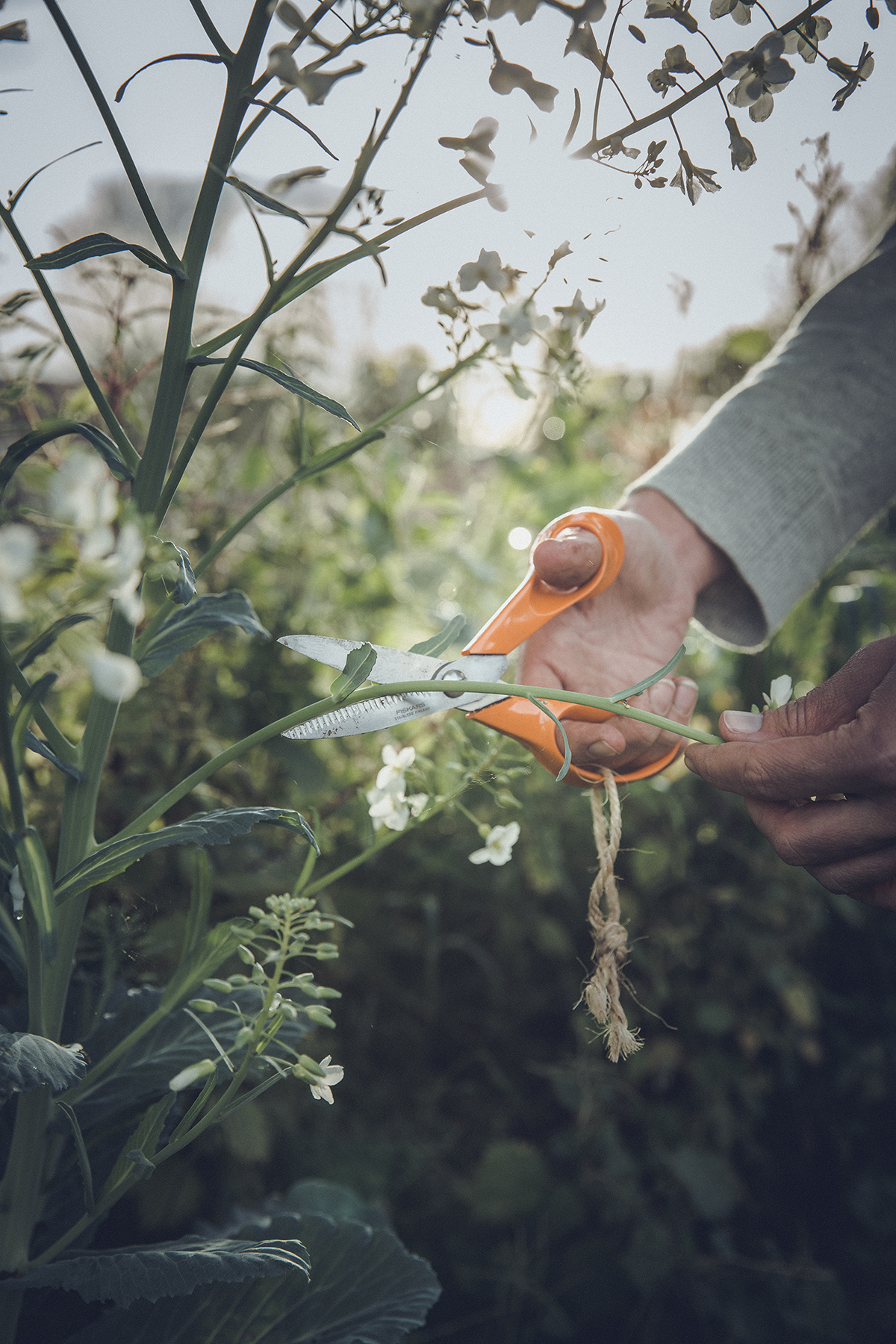 Fiskars Classic Universalschere 18 cm S92